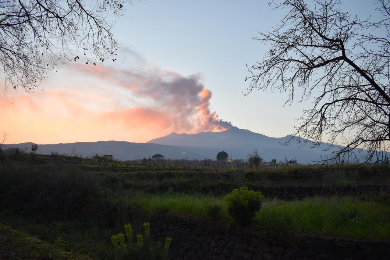산타 베네리나 Etna Tra Le Querce 빌라 외부 사진
