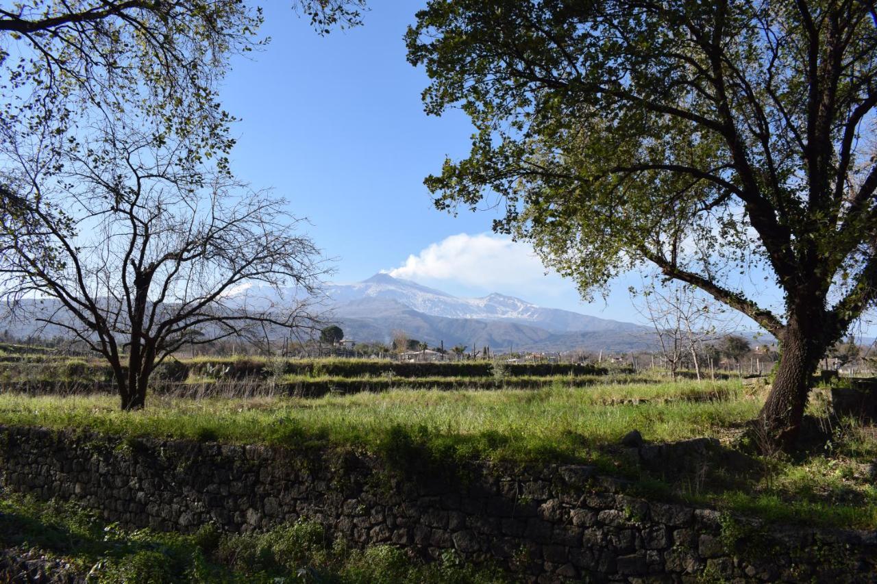 산타 베네리나 Etna Tra Le Querce 빌라 외부 사진